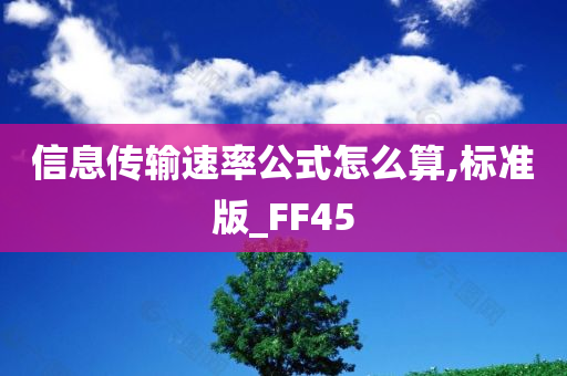 信息传输速率公式怎么算,标准版_FF45