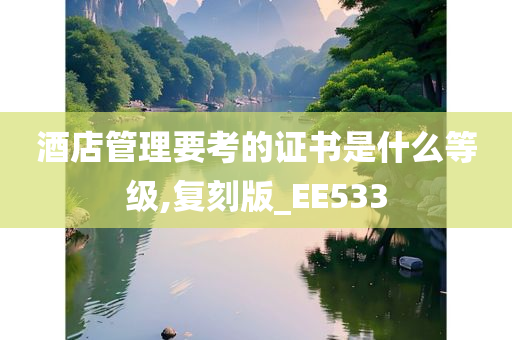 酒店管理要考的证书是什么等级,复刻版_EE533