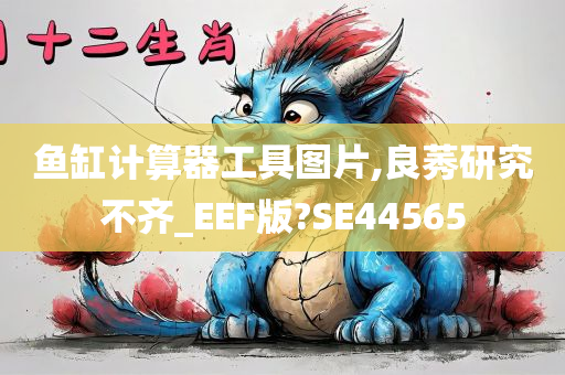 鱼缸计算器工具图片,良莠研究不齐_EEF版?SE44565