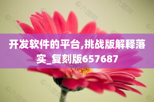 开发软件的平台,挑战版解释落实_复刻版657687