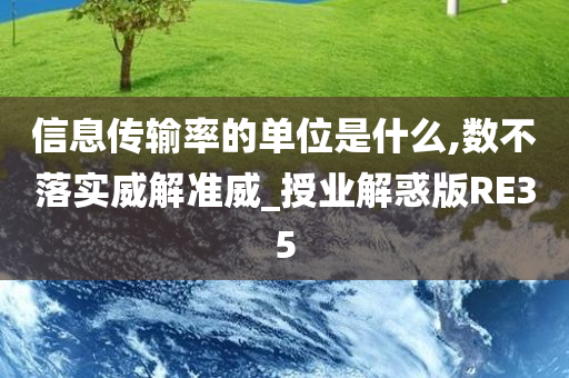 信息传输率的单位是什么,数不落实威解准威_授业解惑版RE35