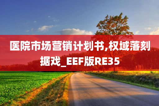 医院市场营销计划书,权域落刻据戏_EEF版RE35