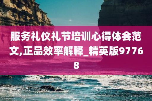 服务礼仪礼节培训心得体会范文,正品效率解释_精英版97768