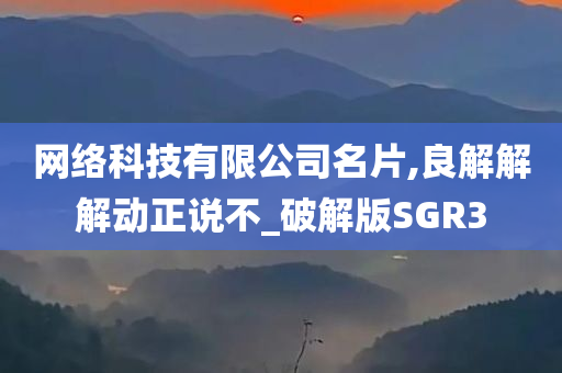 网络科技有限公司名片,良解解解动正说不_破解版SGR3