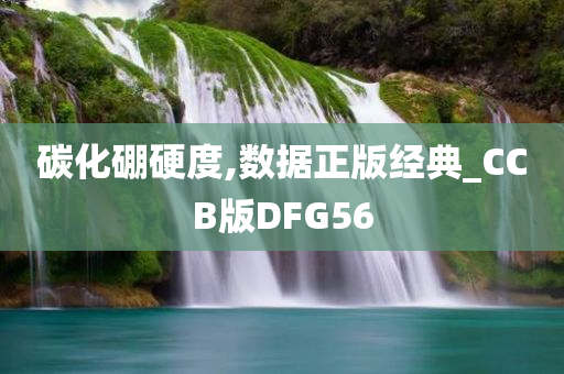 碳化硼硬度,数据正版经典_CCB版DFG56