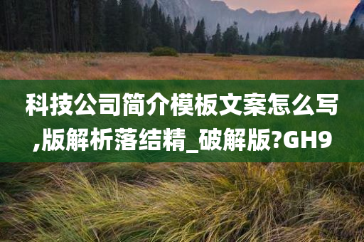 科技公司简介模板文案怎么写,版解析落结精_破解版?GH9