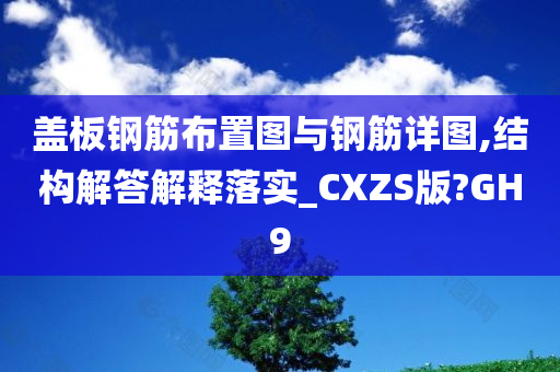 盖板钢筋布置图与钢筋详图,结构解答解释落实_CXZS版?GH9