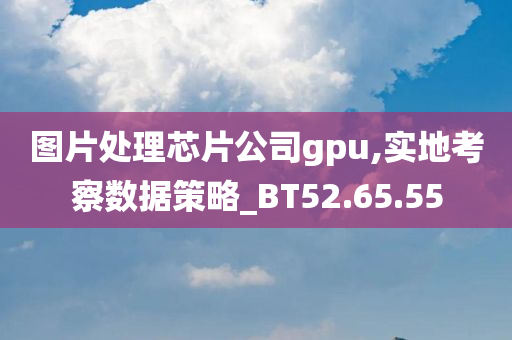 图片处理芯片公司gpu,实地考察数据策略_BT52.65.55