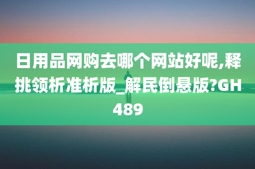 日用品网购去哪个网站好呢,释挑领析准析版_解民倒悬版?GH489