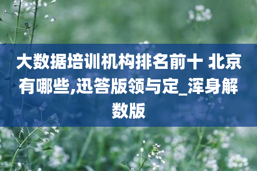 大数据培训机构排名前十 北京有哪些,迅答版领与定_浑身解数版