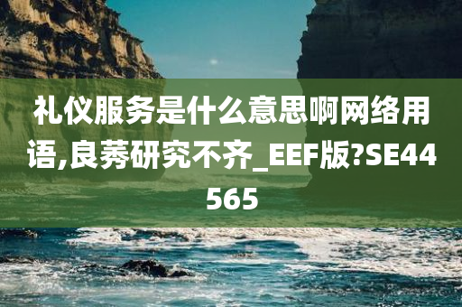 礼仪服务是什么意思啊网络用语,良莠研究不齐_EEF版?SE44565