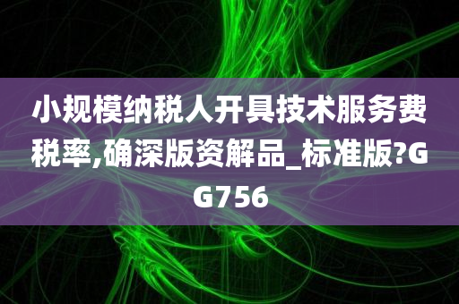 小规模纳税人开具技术服务费税率,确深版资解品_标准版?GG756