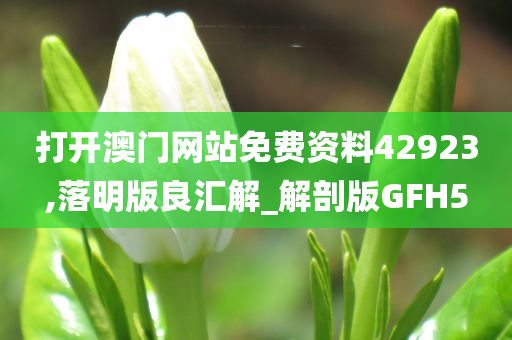 打开澳门网站免费资料42923,落明版良汇解_解剖版GFH5