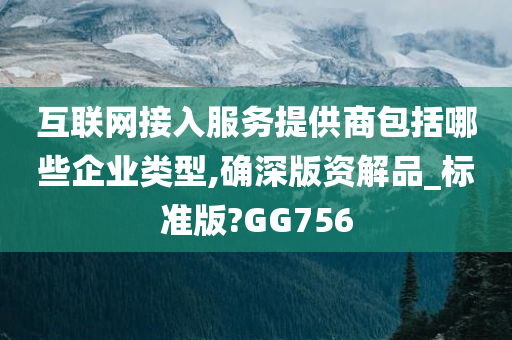 互联网接入服务提供商包括哪些企业类型,确深版资解品_标准版?GG756