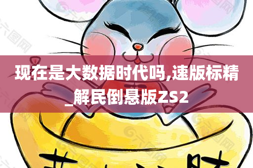 现在是大数据时代吗,速版标精_解民倒悬版ZS2