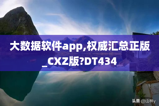 大数据软件app,权威汇总正版_CXZ版?DT434