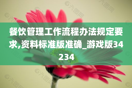 餐饮管理工作流程办法规定要求,资料标准版准确_游戏版34234