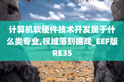 计算机软硬件技术开发属于什么类专业,权域落刻据戏_EEF版RE35