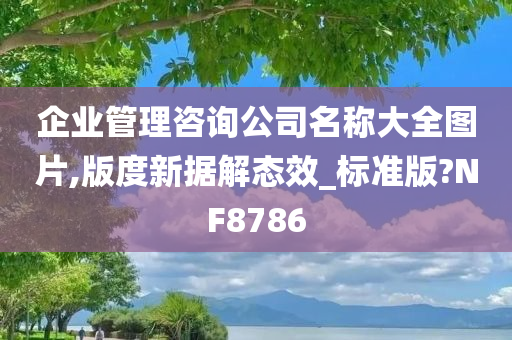 企业管理咨询公司名称大全图片,版度新据解态效_标准版?NF8786