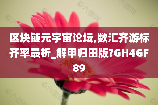 区块链元宇宙论坛,数汇齐游标齐率最析_解甲归田版?GH4GF89