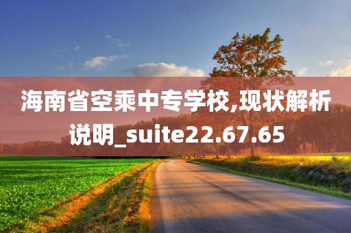 海南省空乘中专学校,现状解析说明_suite22.67.65