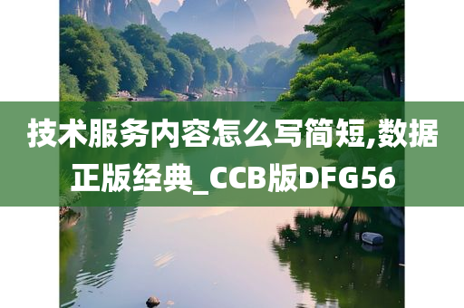 技术服务内容怎么写简短,数据正版经典_CCB版DFG56