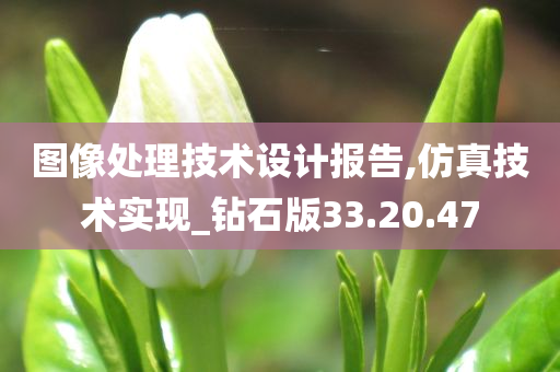 图像处理技术设计报告,仿真技术实现_钻石版33.20.47