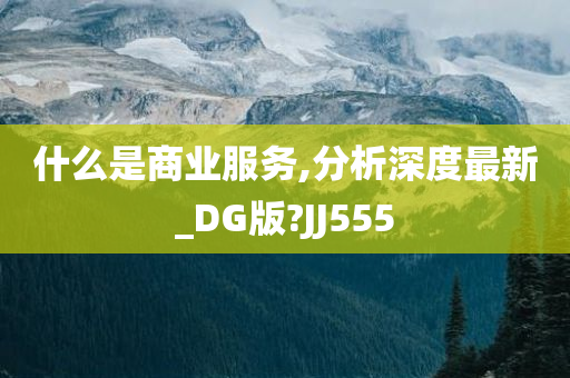 什么是商业服务,分析深度最新_DG版?JJ555