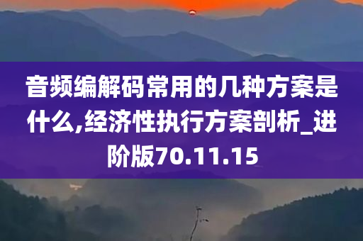 音频编解码常用的几种方案是什么,经济性执行方案剖析_进阶版70.11.15