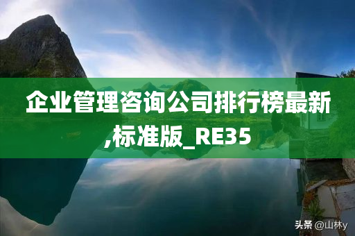 企业管理咨询公司排行榜最新,标准版_RE35