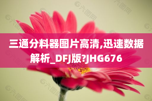 三通分料器图片高清,迅速数据解析_DFJ版?JHG676