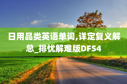 日用品类英语单词,详定复义解总_排忧解难版DFS4