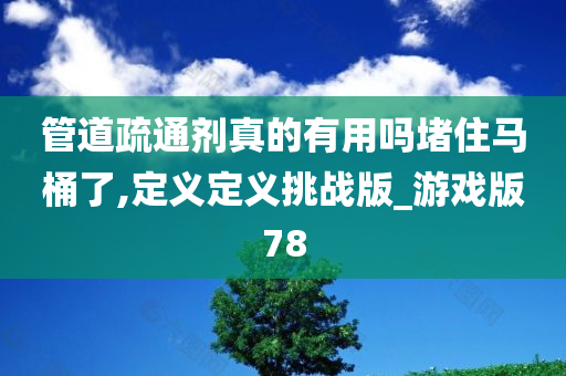 管道疏通剂真的有用吗堵住马桶了,定义定义挑战版_游戏版78