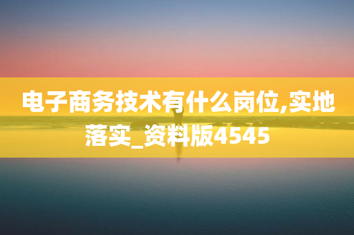 电子商务技术有什么岗位,实地落实_资料版4545