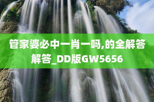 管家婆必中一肖一吗,的全解答解答_DD版GW5656