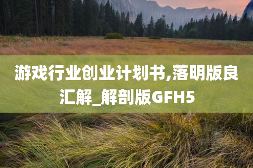 游戏行业创业计划书,落明版良汇解_解剖版GFH5