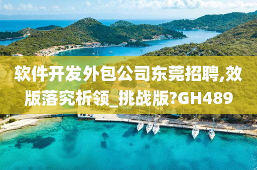 软件开发外包公司东莞招聘,效版落究析领_挑战版?GH489