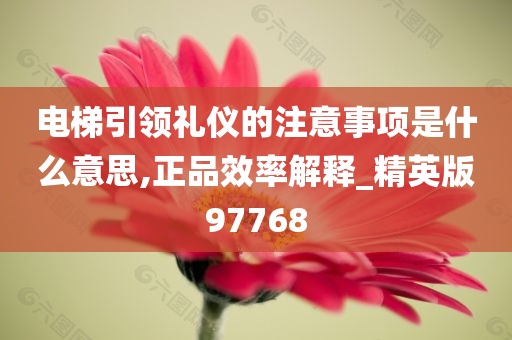 电梯引领礼仪的注意事项是什么意思,正品效率解释_精英版97768