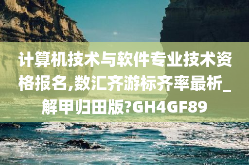 计算机技术与软件专业技术资格报名,数汇齐游标齐率最析_解甲归田版?GH4GF89