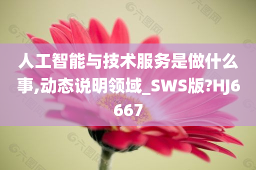 人工智能与技术服务是做什么事,动态说明领域_SWS版?HJ6667