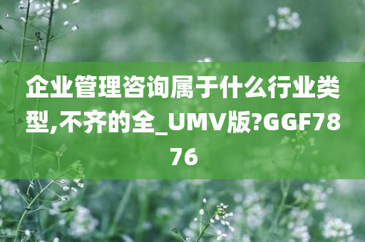 企业管理咨询属于什么行业类型,不齐的全_UMV版?GGF7876