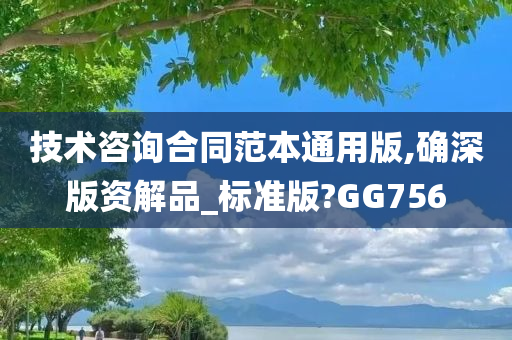 技术咨询合同范本通用版,确深版资解品_标准版?GG756