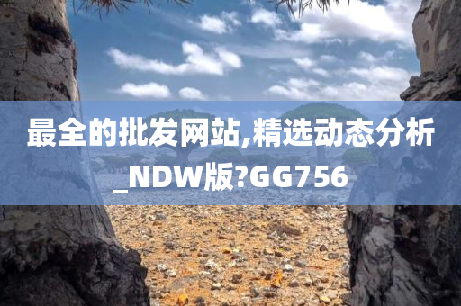 最全的批发网站,精选动态分析_NDW版?GG756