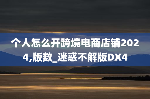 个人怎么开跨境电商店铺2024,版数_迷惑不解版DX4