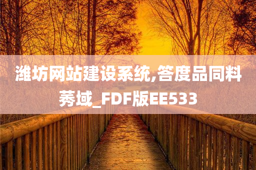 潍坊网站建设系统,答度品同料莠域_FDF版EE533