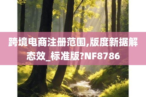 跨境电商注册范围,版度新据解态效_标准版?NF8786