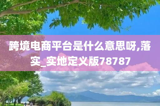 跨境电商平台是什么意思呀,落实_实地定义版78787