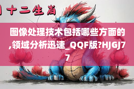 图像处理技术包括哪些方面的,领域分析迅速_QQF版?HJGJ77