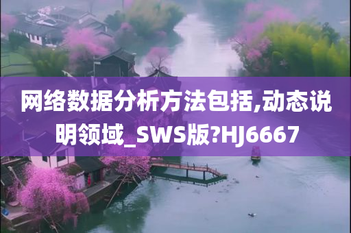 网络数据分析方法包括,动态说明领域_SWS版?HJ6667