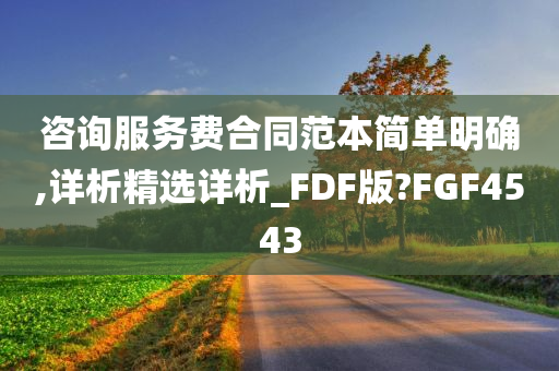 咨询服务费合同范本简单明确,详析精选详析_FDF版?FGF4543